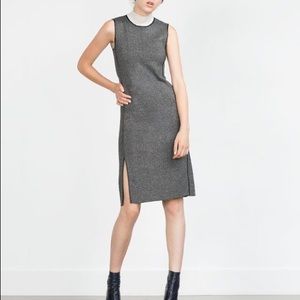 Zara Knit Gray Heather Leather Trim Sheath Dress